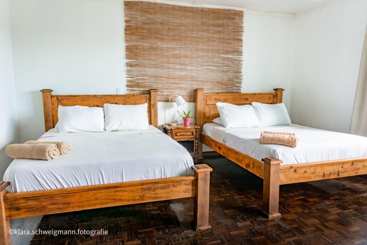 Lost In San Jose Hotel & Hostel Luaran gambar