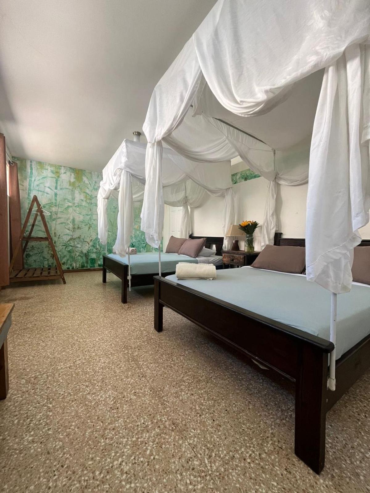 Lost In San Jose Hotel & Hostel Luaran gambar