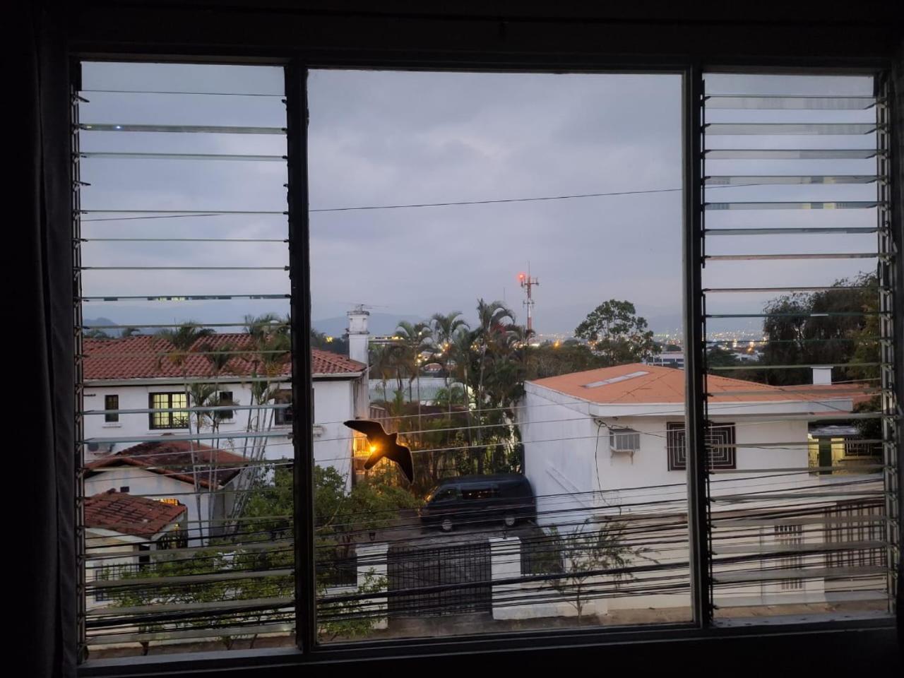 Lost In San Jose Hotel & Hostel Luaran gambar